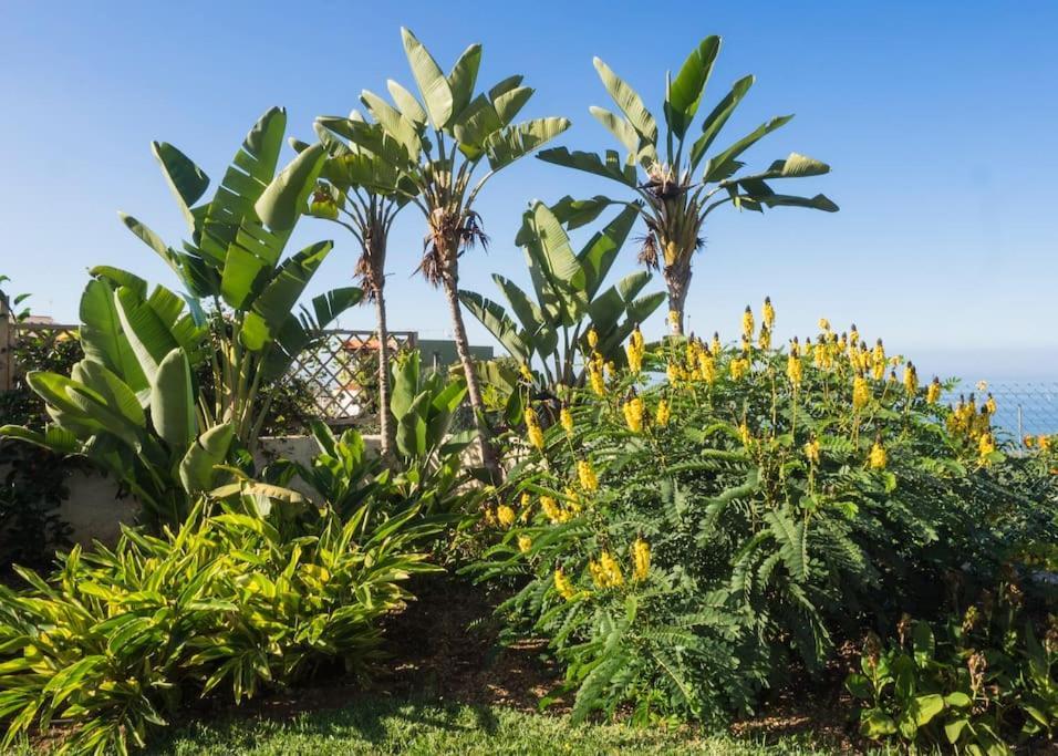 Casa Vina: A Spectacular Away From It All Holiday La Orotava Luaran gambar