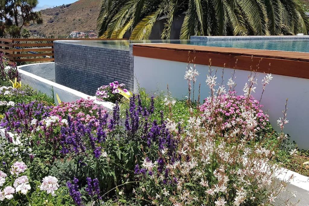 Casa Vina: A Spectacular Away From It All Holiday La Orotava Luaran gambar